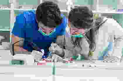 , Image With Caption, &Omicron;&delta;&omicron;&nu;&tau;ί&alpha;&tau;&rho;&omicron;&sigmaf; &Pi;&epsilon;&rho;&iota;&sigma;&tau;έ&rho;&iota; &Alpha;&tau;&tau;&iota;&kappa;ή&sigmaf; - &Delta;&rho;. &Sigma;&tau;έ&lambda;&lambda;&alpha; &Tau;&sigma;&omicron;&pi;ά&kappa;&eta;